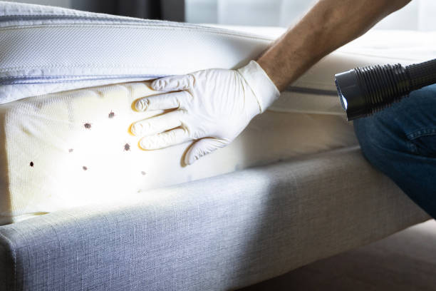 Best Best Pest Control Companies  in Topeka, KS