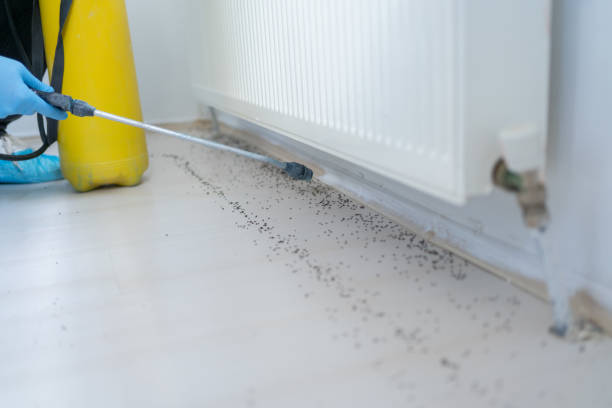 Best Commercial Pest Control Services  in Topeka, KS
