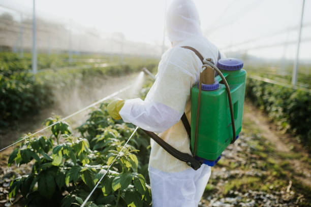 Best Pest Removal Services  in Topeka, KS